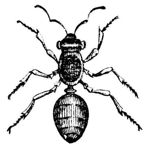 thediscordants's profile picture. 