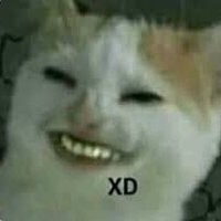 Wolf (@acewolf_cr) 's Twitter Profile