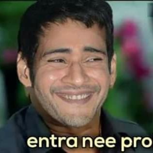 TNtrfan's profile picture. twitter lo cm