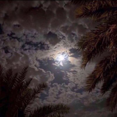 ((٢/١٨))—((٣/٢٠))—((٤/٢٠))—((٢٠٢٠)) تواريخ لا تُنسى وأيام حُفرت بالقلب ونُقشت بالروح 💙❤️😌
