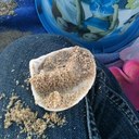 Laura Cheyne - @LJCheyne - Twitter