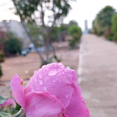 huPPvSqLNmyFOSa's profile picture. وإن خانتك اختِياراتُك فلنْ يخونك لُطفٰ اللّٰه ولن يَخذِلك إنقَاذه💛.