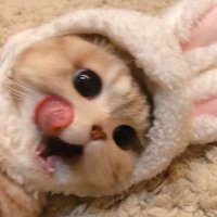 beyefendi (@bayefendiiii) 's Twitter Profile