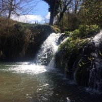 ceylanhakan (@ceylanhakan8) 's Twitter Profile
