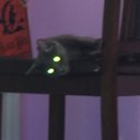 tristin johnson - @tristin05292274 - Twitter