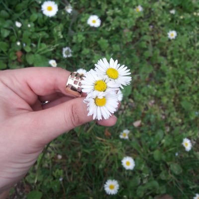 yapos16's profile picture. Kafanıza göre anlayacaksanız, kafama göre anlatacağım.👍🏻🙄🤭😂