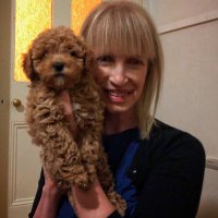 Stephanie Weir (@stephanieaweir) 's Twitter Profile Photo