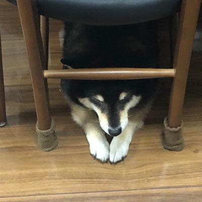 takeuni3's profile picture. 東海医医 野球好き 竜党 大学垢 あんまツイートしません #春から東海大 flumpool  無言フォロー失礼致します