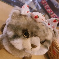 ツバキちゃん (@stand_jasmine) 's Twitter Profile