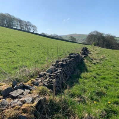 A nature-led upland farm based in the High Peak, Derbyshire, adopting a rewilding approach.