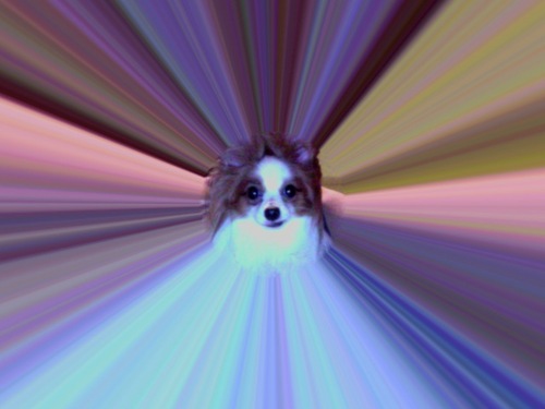 kascake's profile picture. No.