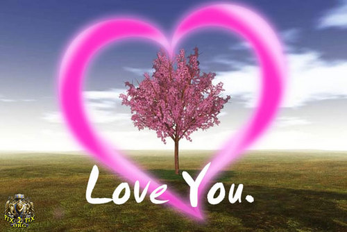 abanobkodos's profile picture. 