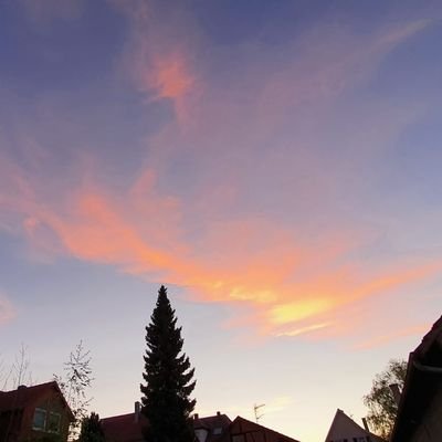 zheKingK's profile picture. 