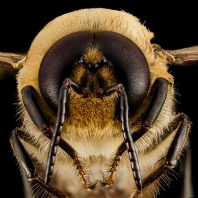 JohnWay62's profile picture. Just an NB Drone, opinions are my own and often contrary to the Queen's.