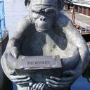 Neil McKenna - @nelliemck - Twitter