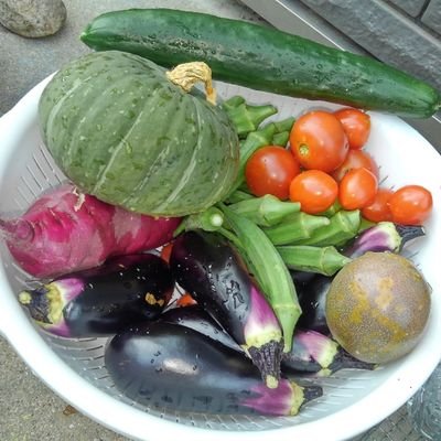 少量多品種の家庭菜園を楽しんでいます🎵コンパニオンプランツや面白そうな栽培方法など色々チャレンジしていきます👍家庭菜園ブログもたまに投稿しています✏️
無言フォロー失礼します💦農業、家庭菜園系は基本的にフォローさせていただきます🙏
#家庭菜園 #コンパニオンプランツ