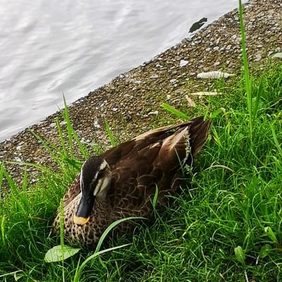 CasosPlate's profile picture. Thanos ou Mère Nature ?
Je vous laisse choisir :)))