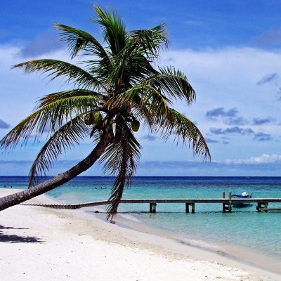 LauraAS_2000's profile picture. 