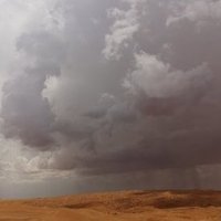 محمد راشد العويمر (@m_mr5600) Twitter profile photo