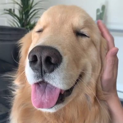 ffo992n_f992nf's profile picture. 