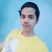 Muhammad Faizan Ansari (@muhamma52683342) 's Twitter Profile