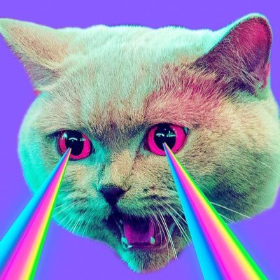 marrofield's profile picture. 