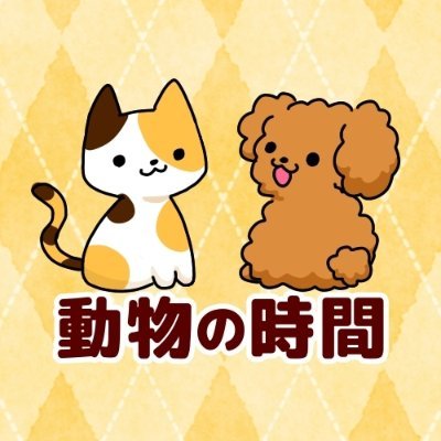 動物の時間 Animalnotime Twitter
