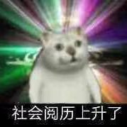 PpikachuP's profile picture. 嗜酒嗜睡博主 不约不聊骚不加微信 这里用来叭叭废话 发骚别来沾边！发🐔不如发猫 这一辈子都会喜欢猫的（帅哥也是）
