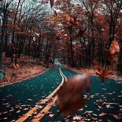 Niiiiiiiiim2's profile picture. 