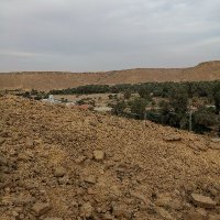 aldosry-a (@naser200900_a) 's Twitter Profile