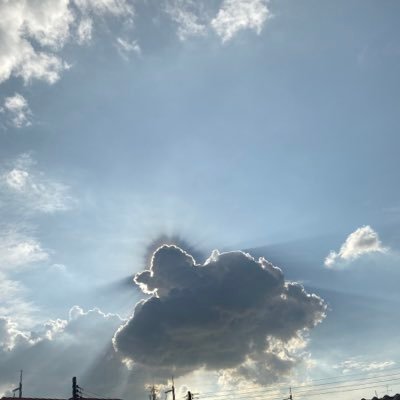 nowyeeseemoo's profile picture. 