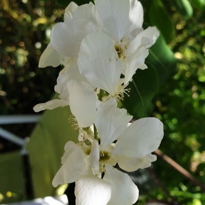 Me__Potter's profile picture. Je reviens vers vous dès que j’en sais plus.