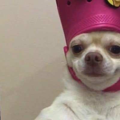 w38v37FBDdNcltL's profile picture. WoYoDaGG