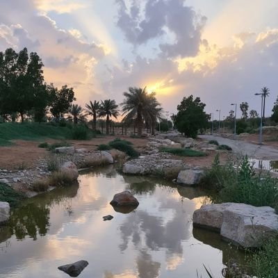 engyaman's profile picture. 