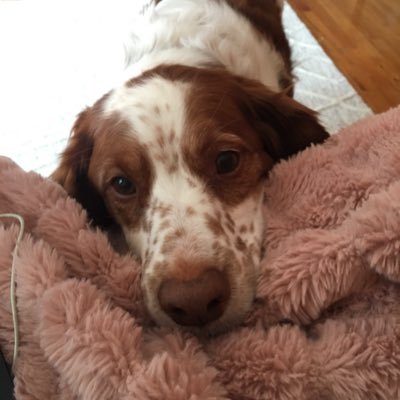 ChristinaDunvi1's profile picture. 