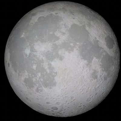 P__D's profile picture. 