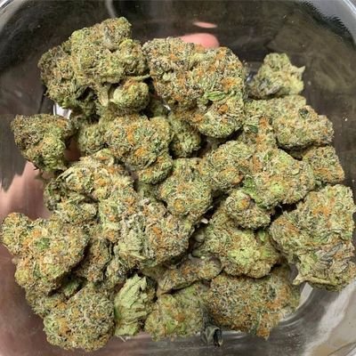 Am a business man specifically I supply weed. quick delivery