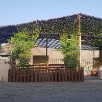 ابو حاتم الكيومي (@talib65837097) Twitter profile photo