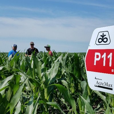 Pioneer Dealer in NE KS. Focus in agronomy, fertility and precision agriculture. Family owned, community oriented, Ag proud!