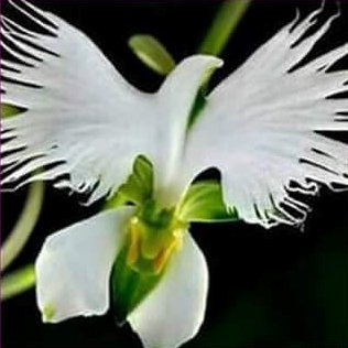 friJUSTends's profile picture. 