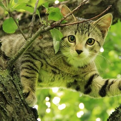 https://t.co/MEoqlheh3N
Está a fim de ajudar nosso planeta a se recuperar? Junte-se nós e ganhe dinheiro com isso.