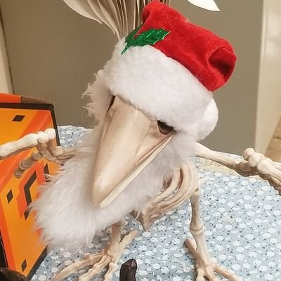 Britiany13's profile picture. 