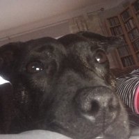 Alexis Claydenđź’™ (@alexisclayden) 's Twitter Profile