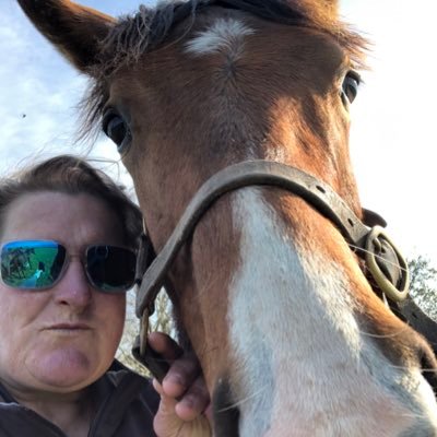 Small time horse breeder in South Tipperary