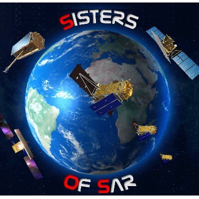 SistersofSAR's profile picture. A passion for all things #SAR | #WomeninSAR | @eoscenefrom | We 💜@LadiesofLandsat & @DamesofDrones| Tweets by @LDR1, @SAR_ahBanks, @Go__Pika & @ant_dasgupta |