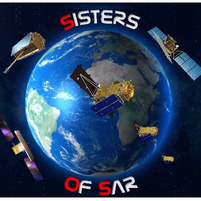 A passion for all things #SAR | #WomeninSAR | @eoscenefrom | We 💜@LadiesofLandsat & @DamesofDrones| Tweets by @LDR1, @SAR_ahBanks, @Go__Pika & @ant_dasgupta |