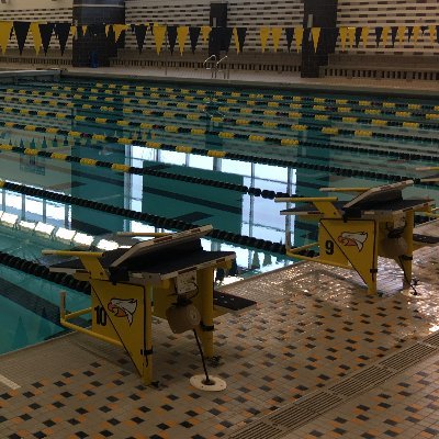 Hudsonville HS Men’s and Women’s  Swimming and Diving