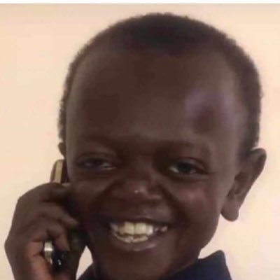 apetorr's profile picture. 