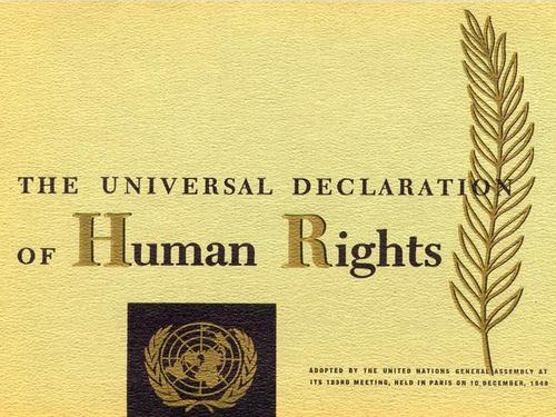 All human beings are born free and equal in dignity and rights.