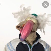 Dustin The Turkey (@dustinofficial) 's Twitter Profile